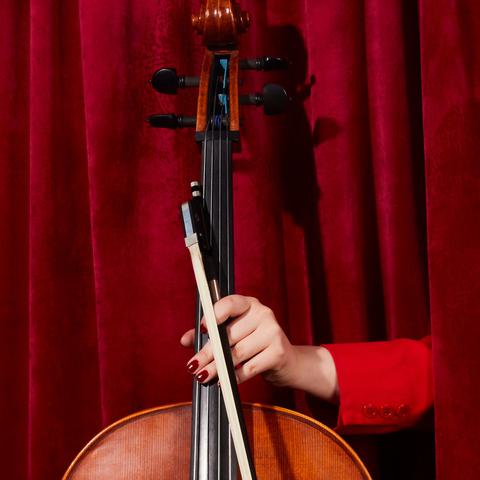 Get Updates on WCO News